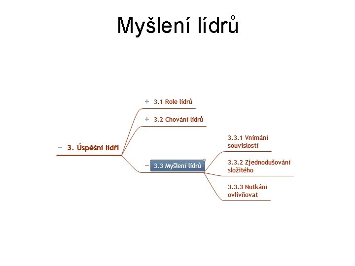 Myšlení lídrů 