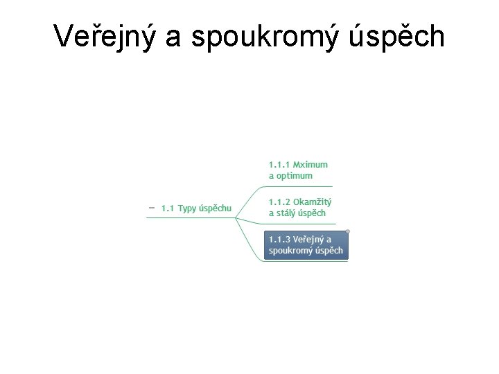 Veřejný a spoukromý úspěch 