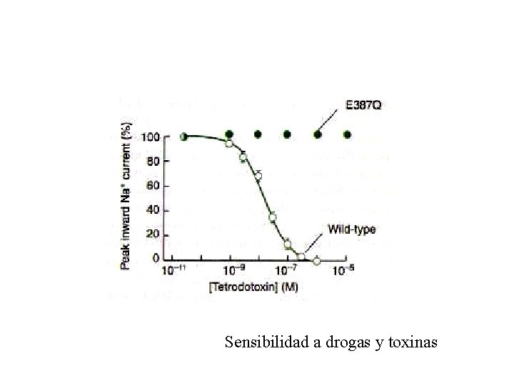 Sensibilidad a drogas y toxinas 