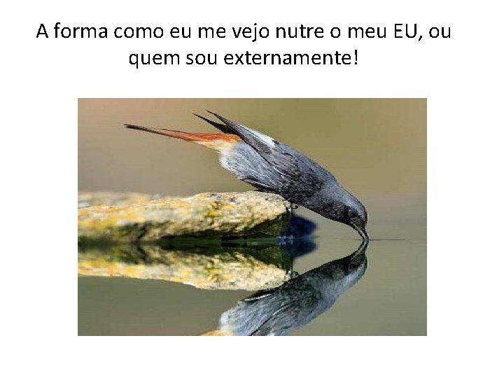 A forma como eu me vejo nutre o meu EU, ou quem sou externamente!