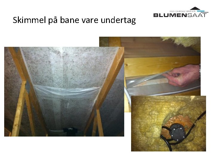 Skimmel på bane vare undertag 