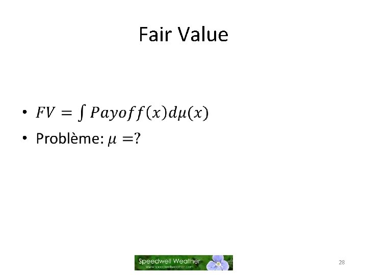 Fair Value • 28 
