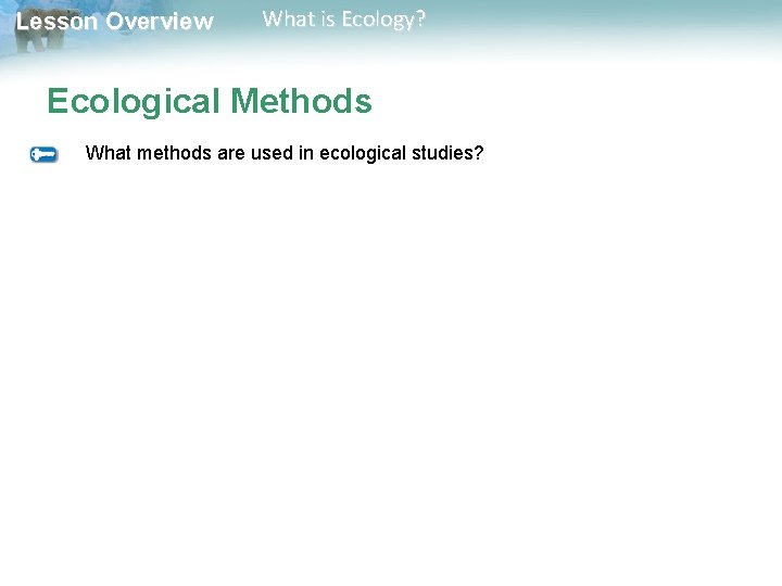 Lesson Overview What is Ecology? Ecological Methods What methods are used in ecological studies?