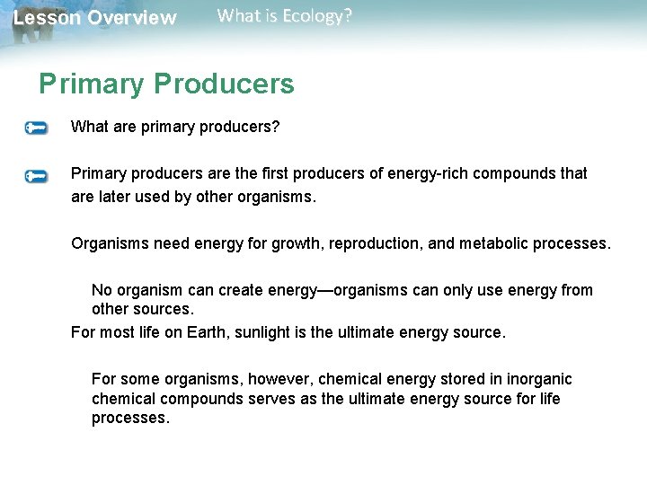 Lesson Overview What is Ecology? Primary Producers What are primary producers? Primary producers are