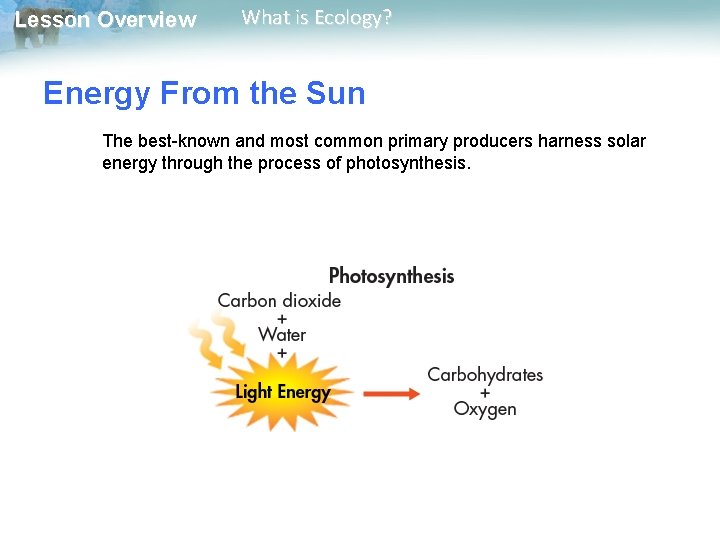 Lesson Overview What is Ecology? Energy From the Sun The best-known and most common