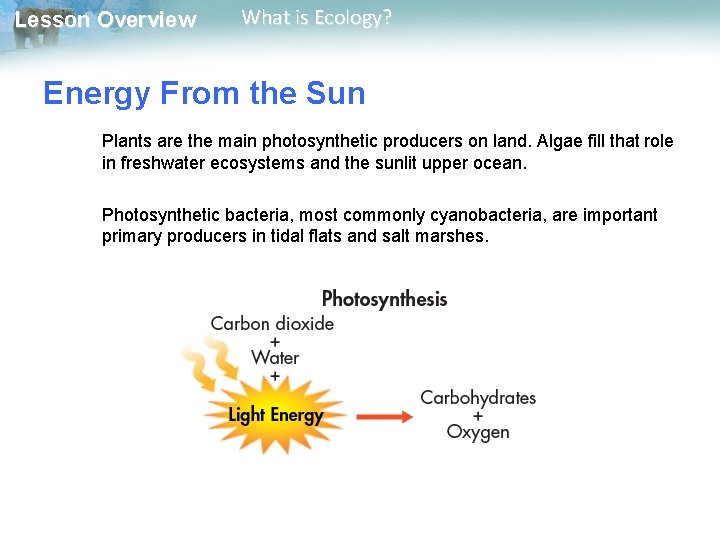 Lesson Overview What is Ecology? Energy From the Sun Plants are the main photosynthetic