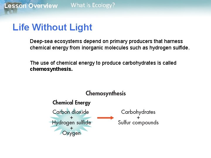 Lesson Overview What is Ecology? Life Without Light Deep-sea ecosystems depend on primary producers