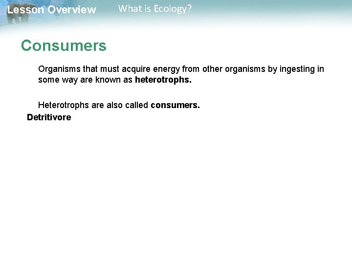 Lesson Overview What is Ecology? Consumers Organisms that must acquire energy from other organisms