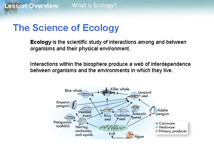 Lesson Overview What is Ecology? The Science of Ecology is the scientific study of