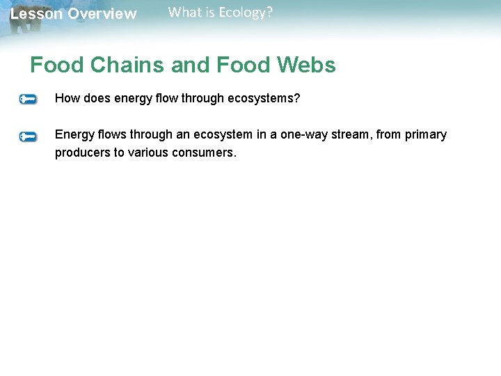 Lesson Overview What is Ecology? Food Chains and Food Webs How does energy flow