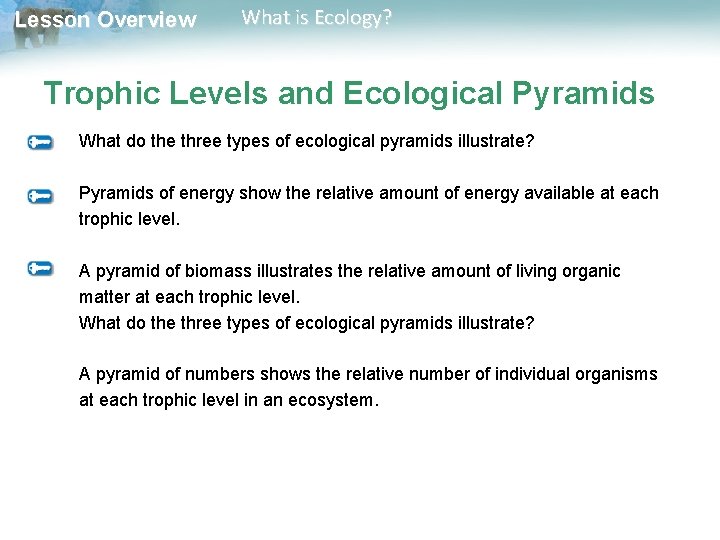 Lesson Overview What is Ecology? Trophic Levels and Ecological Pyramids What do the three