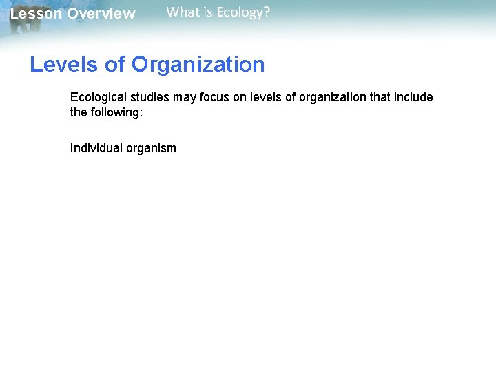 Lesson Overview What is Ecology? Levels of Organization Ecological studies may focus on levels