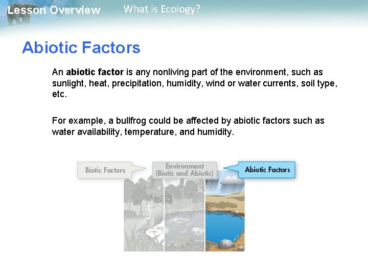 Lesson Overview What is Ecology? Abiotic Factors An abiotic factor is any nonliving part