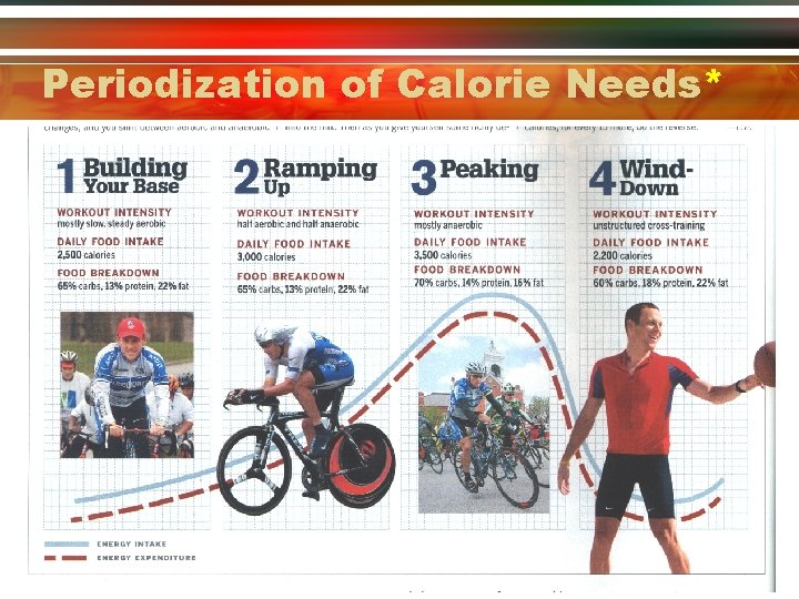 Periodization of Calorie Needs* 