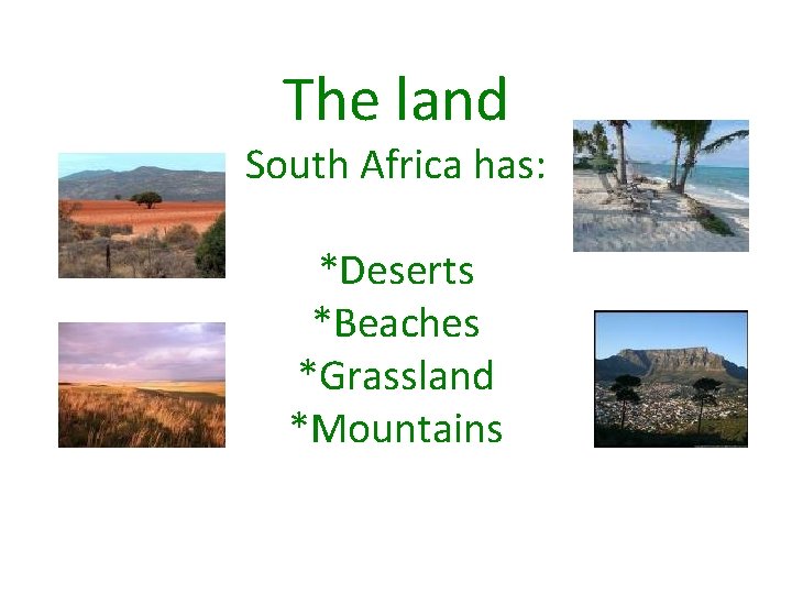 The land South Africa has: *Deserts *Beaches *Grassland *Mountains 