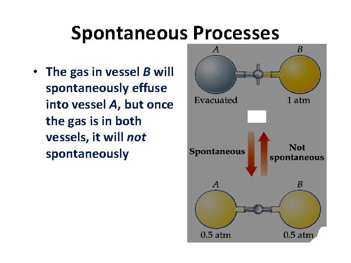 Spontaneous Processes • The gas in vessel B will spontaneously effuse into vessel A,