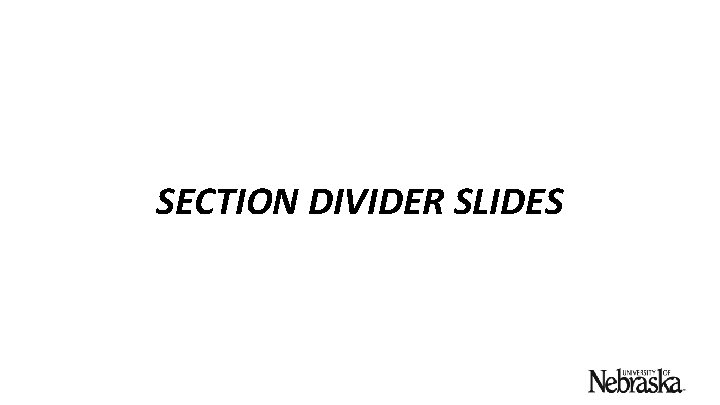 SECTION DIVIDER SLIDES 