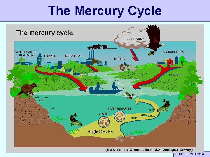 The Mercury Cycle ELSI & DART 10/1/04 