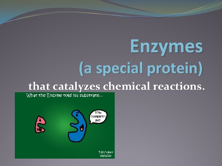 Enzymes (a special protein) that catalyzes chemical reactions. 