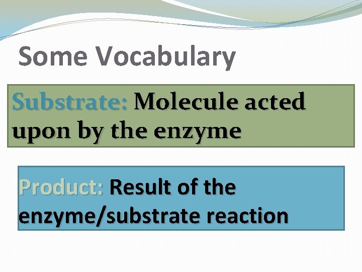 Some Vocabulary Substrate: Molecule acted upon by the enzyme Product: Result of the enzyme/substrate