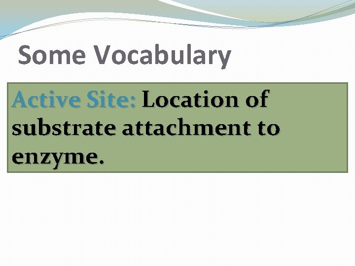 Some Vocabulary Active Site: Location of substrate attachment to enzyme. 