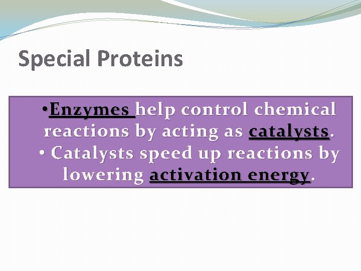 Special Proteins • Enzymes help control chemical reactions by acting as catalysts. • Catalysts