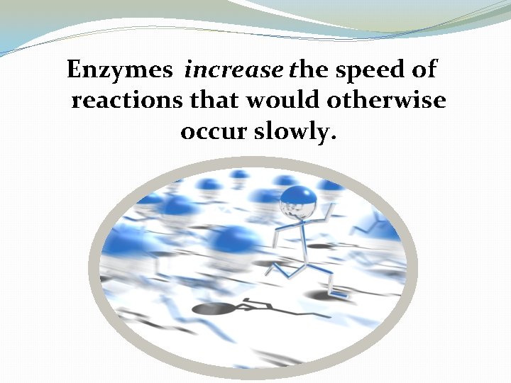 Enzymes increase the speed of reactions that would otherwise occur slowly. 