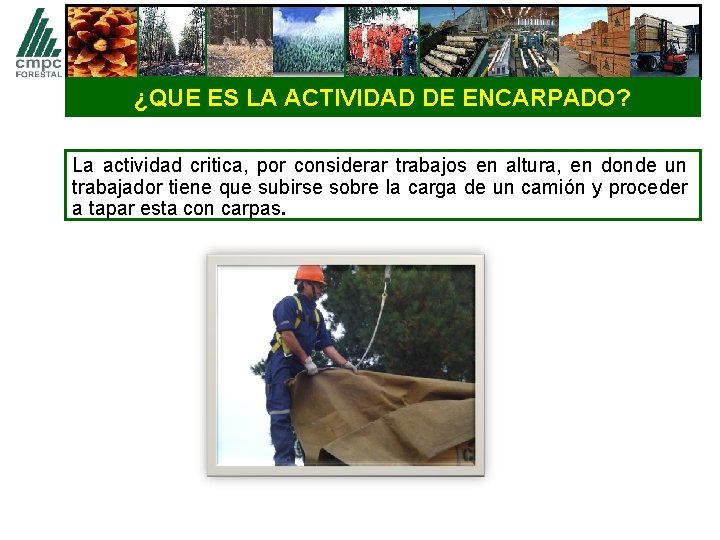 ¿QUE ES LA ACTIVIDAD DE ENCARPADO? La actividad critica, por considerar trabajos en altura,