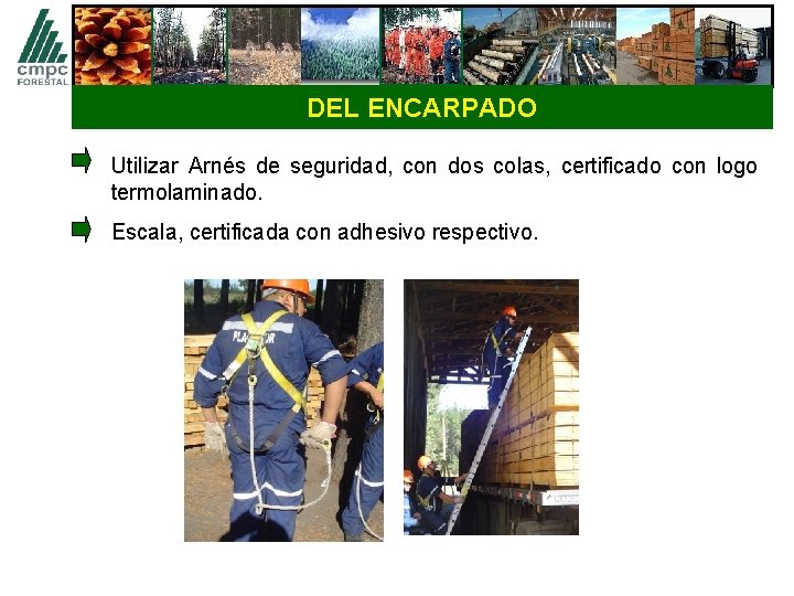 DEL ENCARPADO Utilizar Arnés de seguridad, con dos colas, certificado con logo termolaminado. Escala,