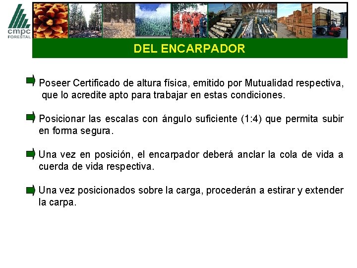 DEL ENCARPADOR Poseer Certificado de altura física, emitido por Mutualidad respectiva, que lo acredite