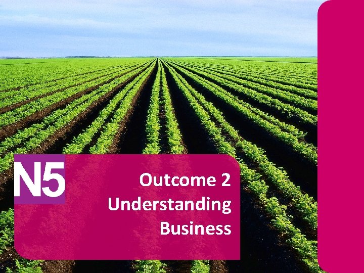 Outcome 2 Understanding Business 