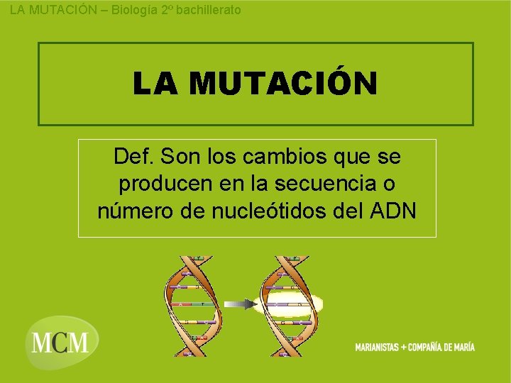 LA MUTACIÓN – Biología 2º bachillerato LA MUTACIÓN Def. Son los cambios que se