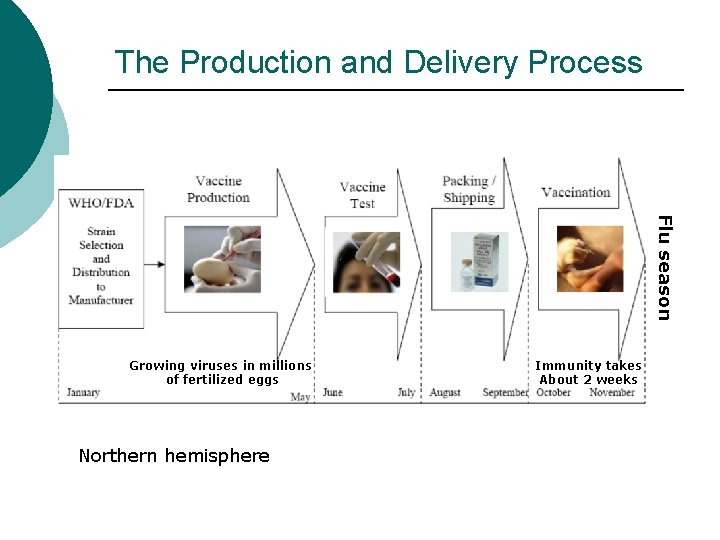 The Production and Delivery Process Flu season Growing viruses in millions of fertilized eggs