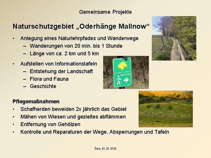 Gemeinsame Projekte Naturschutzgebiet „Oderhänge Mallnow“ • Anlegung eines Naturlehrpfades und Wanderwege – Wanderungen von
