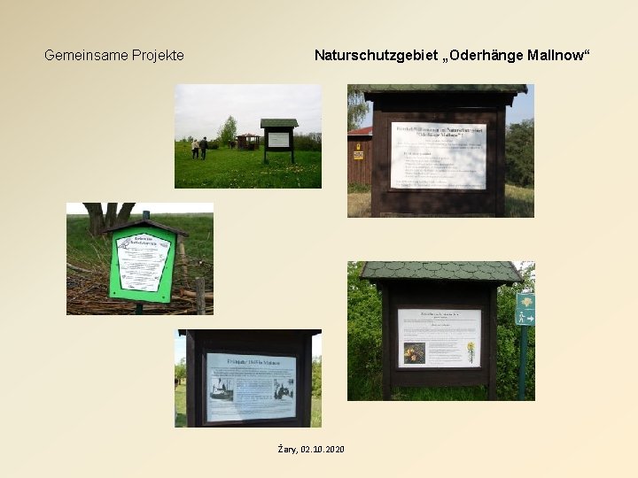 Gemeinsame Projekte Naturschutzgebiet „Oderhänge Mallnow“ Żary, 02. 10. 2020 