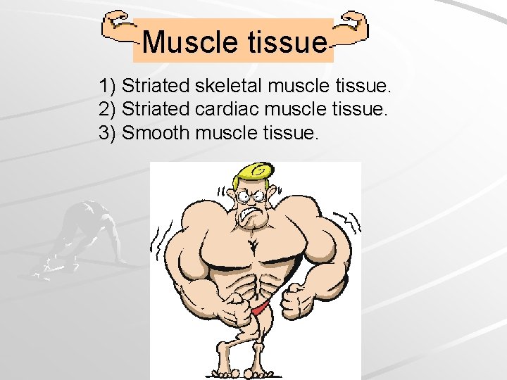 Muscle tissue 1) Striated skeletal muscle tissue. 2) Striated cardiac muscle tissue. 3) Smooth