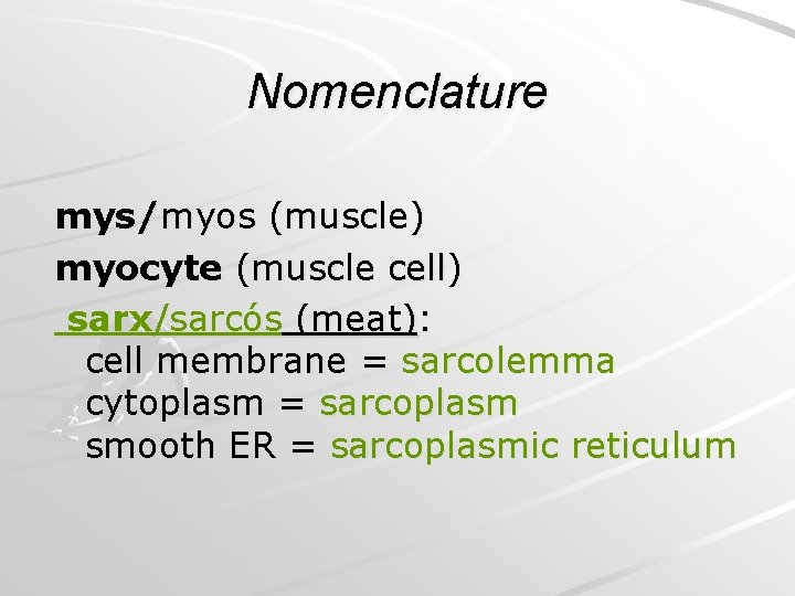 Nomenclature mys/myos (muscle) myocyte (muscle cell) sarx/sarcós (meat): cell membrane = sarcolemma cytoplasm =