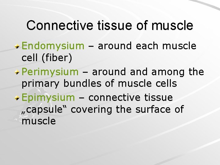 Connective tissue of muscle Endomysium – around each muscle cell (fiber) Perimysium – around