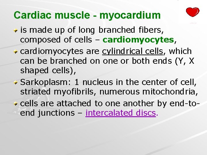 Cardiac muscle - myocardium is made up of long branched fibers, composed of cells