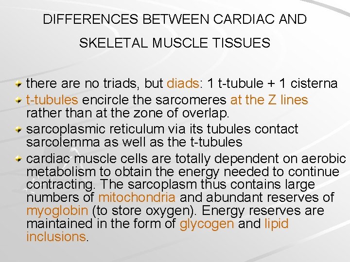 DIFFERENCES BETWEEN CARDIAC AND SKELETAL MUSCLE TISSUES there are no triads, but diads: 1