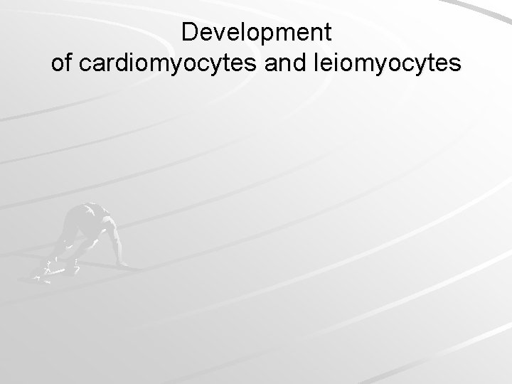 Development of cardiomyocytes and leiomyocytes 