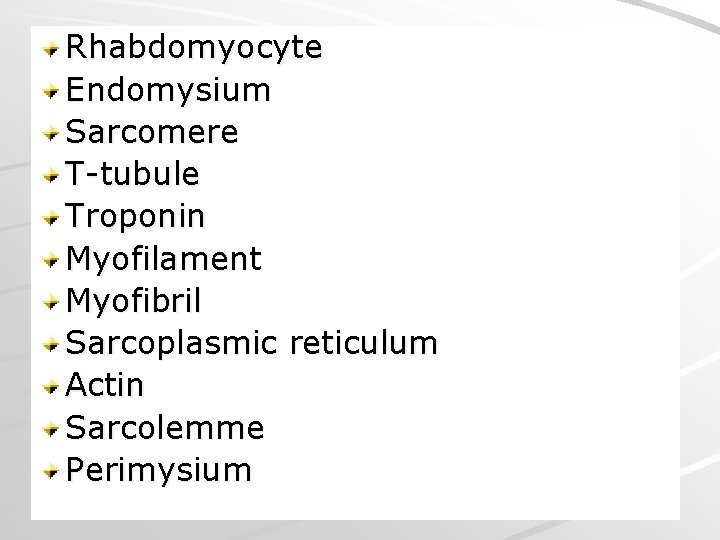 Rhabdomyocyte Endomysium Sarcomere T-tubule Troponin Myofilament Myofibril Sarcoplasmic reticulum Actin Sarcolemme Perimysium 