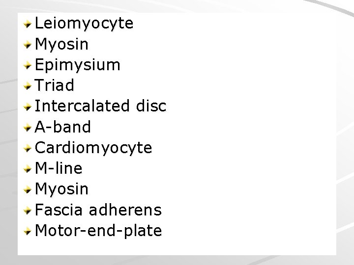 Leiomyocyte Myosin Epimysium Triad Intercalated disc A-band Cardiomyocyte M-line Myosin Fascia adherens Motor-end-plate 