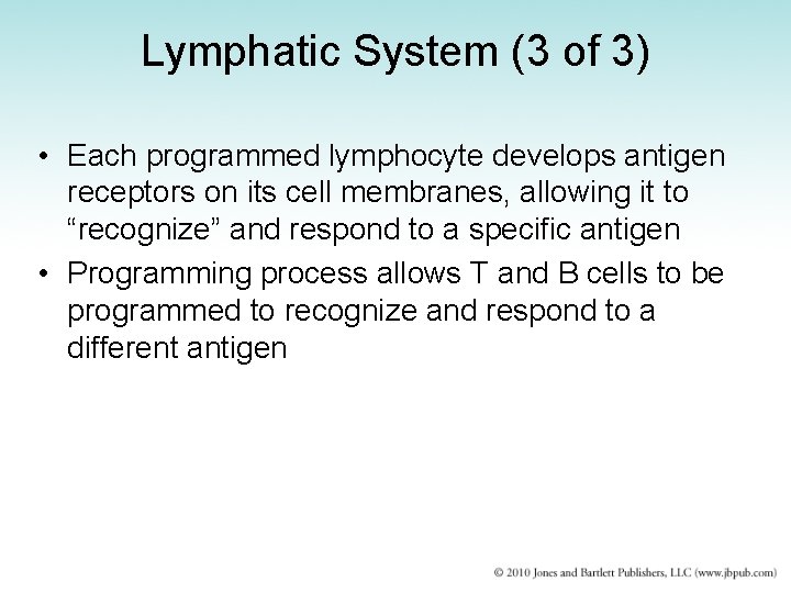 Lymphatic System (3 of 3) • Each programmed lymphocyte develops antigen receptors on its