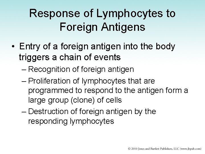 Response of Lymphocytes to Foreign Antigens • Entry of a foreign antigen into the