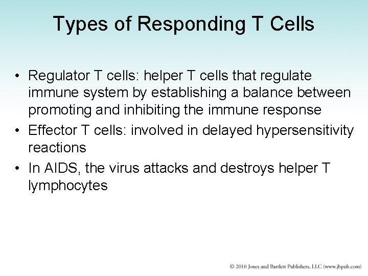 Types of Responding T Cells • Regulator T cells: helper T cells that regulate