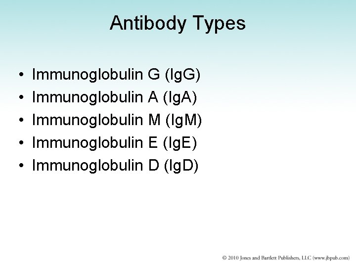 Antibody Types • • • Immunoglobulin G (Ig. G) Immunoglobulin A (Ig. A) Immunoglobulin