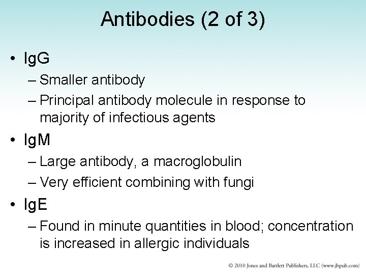 Antibodies (2 of 3) • Ig. G – Smaller antibody – Principal antibody molecule
