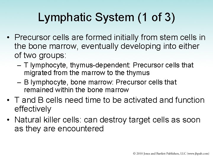 Lymphatic System (1 of 3) • Precursor cells are formed initially from stem cells