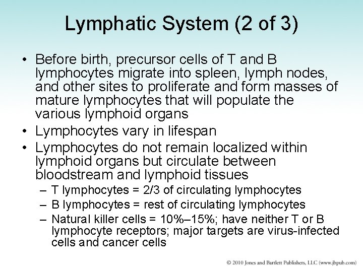 Lymphatic System (2 of 3) • Before birth, precursor cells of T and B